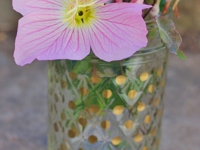 With Lovely Polka Dot Jars